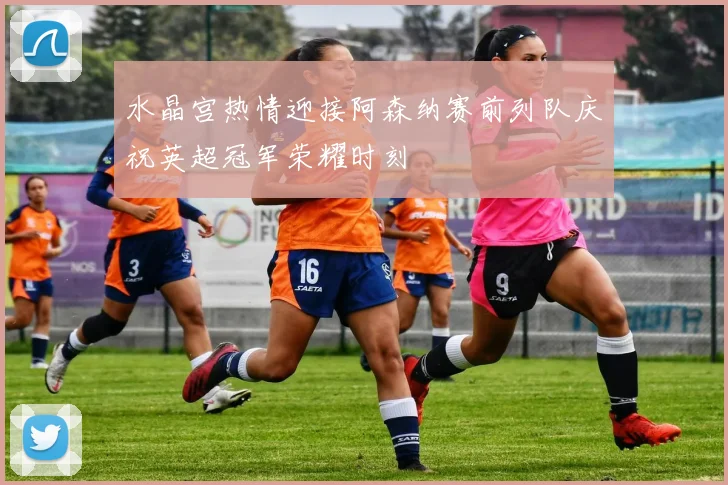 水晶宫热情迎接阿森纳赛前列队庆祝英超冠军荣耀时刻